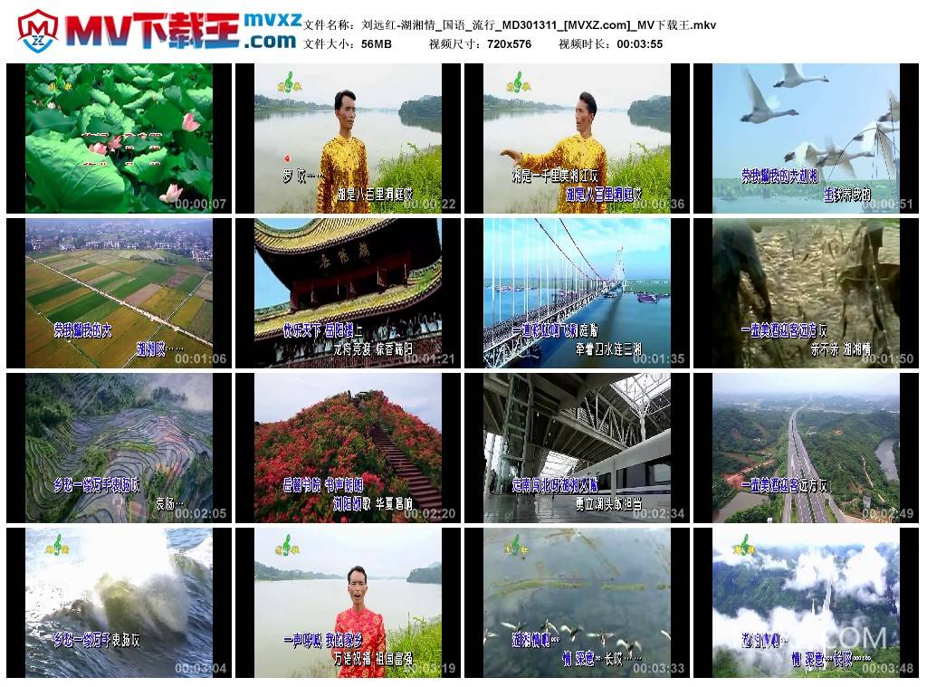 刘远红-湖湘情_国语_流行_MD301311